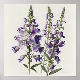 Lila Riddarsporre Blomma Konsttryck Affisch