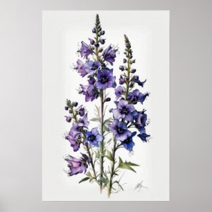 Lila Riddarsporre Blomma Konsttryck Affisch