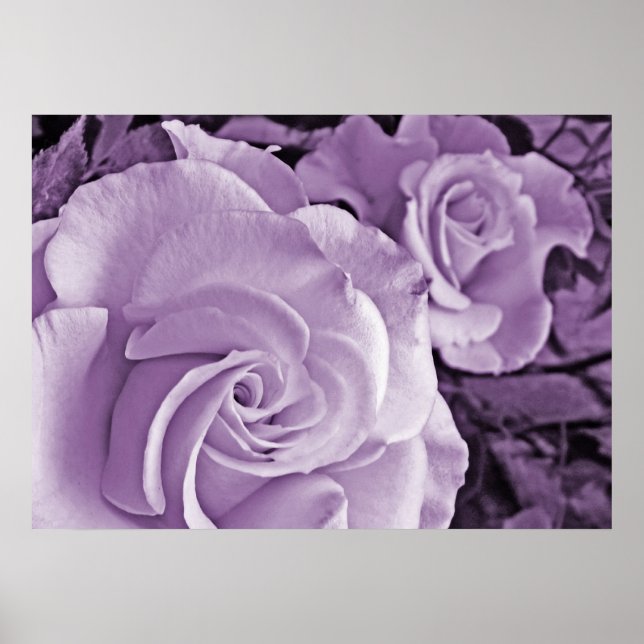 LILA RO ~ BLOMMIGT POSTER (Framsidan)