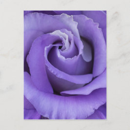 Lila Ro Blommigt vykort