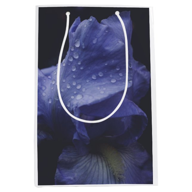 Lila Ro Flower (Framsidan)