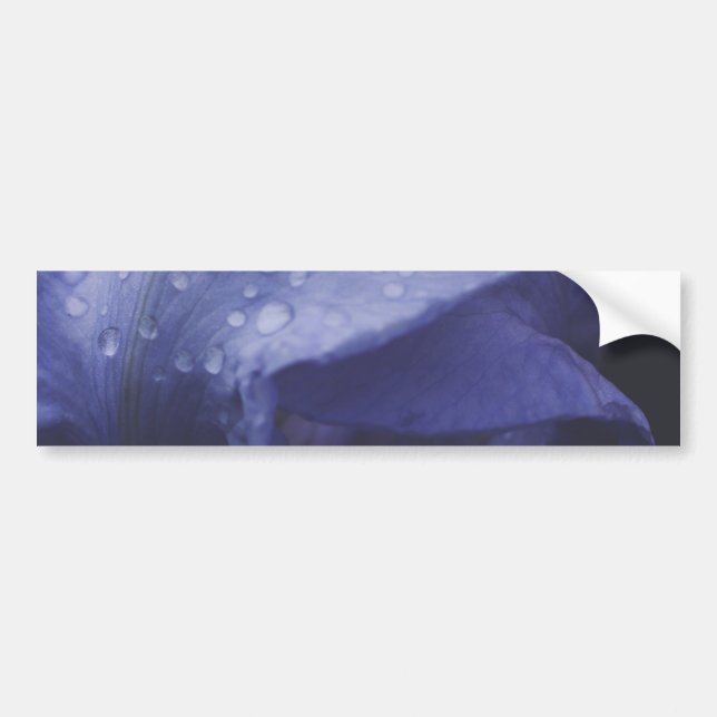 Lila Ro Flower Bildekal (Framsidan)