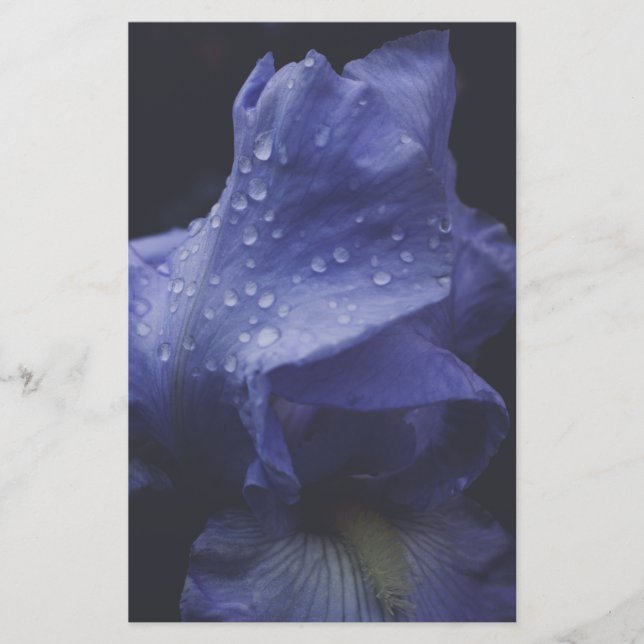 Lila Ro Flower Brevpapper (Framsida)