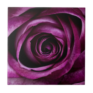 Lila Ro Flower Kakelplatta