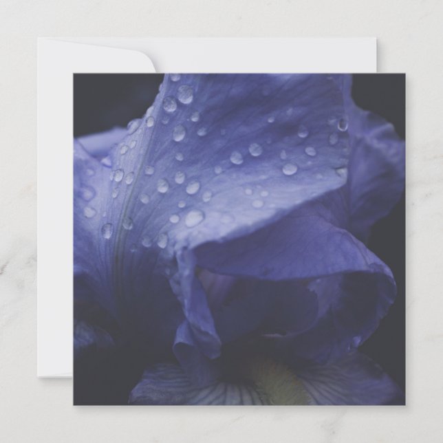 Lila Ro Flower Kort (Framsida)