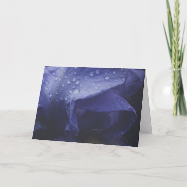 Lila Ro Flower Kort (Framsida)