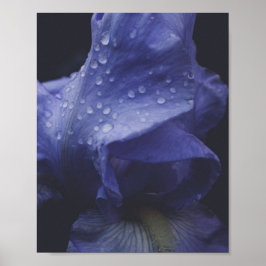 Lila Ro Flower Poster