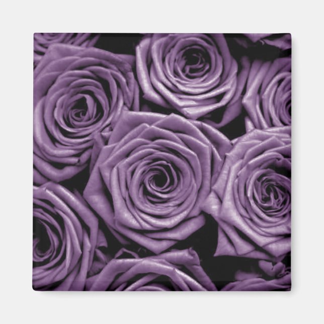 Lila Ro Magnet (Framsidan)