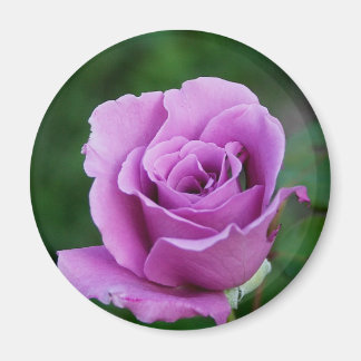 Lila Ro Magnet