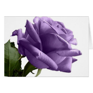 Lila Ro Note Cards OBS Kort