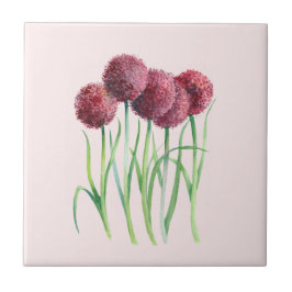 Lila Rosa Allium Watercolor Botanical Painting Kakelplatta