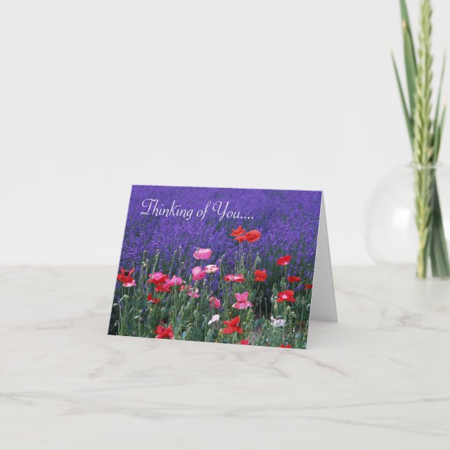 Lila/Rosa Blommor som tänker på ditt gratulationsk Kort (Framsida)