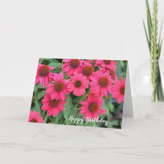 Lila Rosa Coneflowers Birthday Kort (Framsida)