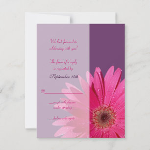 Lila & Rosa Gerbera Daisy Bröllop svarskort OSA Kort