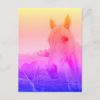 Lila rosa Horse & Heart Vykort