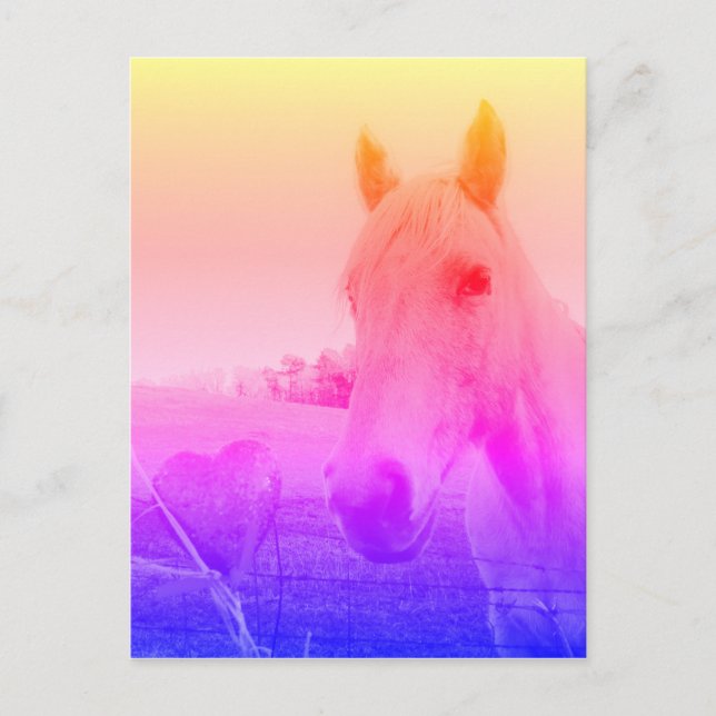 Lila rosa Horse & Heart Vykort (Framsida)