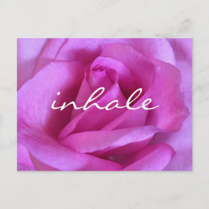 Lila Rosa ros Flower Flower Fold Photo Inhale-skri Vykort