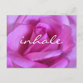Lila Rosa ros Flower Flower Fold Photo Inhale-skri Vykort