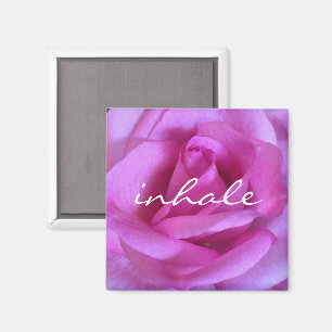 Lila rosa ros-fotoinhalation, skriptcitat magnet