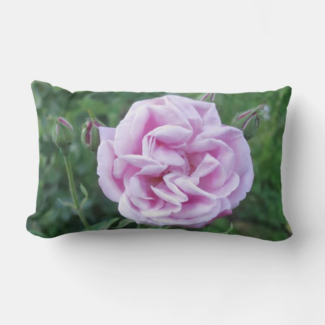 Lila Rosa ros Photo Lumbar Pillow Gardeners Lumbarkudde (Framsida)