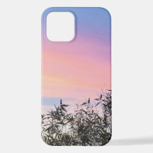 Lila Rosa Sunset Sunrise