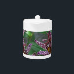 Lila rosa vit strimmig orkidé som blomkål<br><div class="desc">Toad Lilly: Lila rosa white stripe orchid som blomlilly</div>