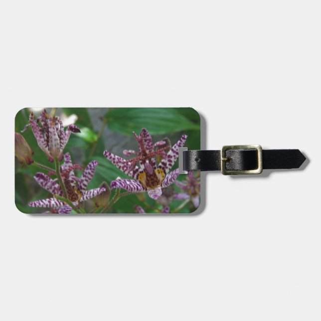 Lila rosa vit strimmig orkidé som blomkål bagagebricka (Horisontell Framsida)