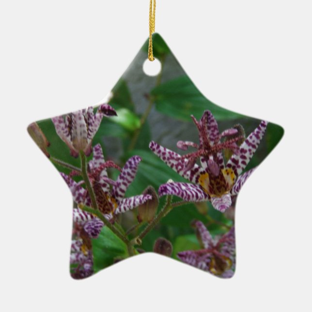 Lila rosa vit strimmig orkidé som blomkål julgransprydnad keramik (Framsidan)