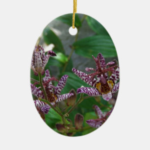 Lila rosa vit strimmig orkidé som blomkål julgransprydnad keramik