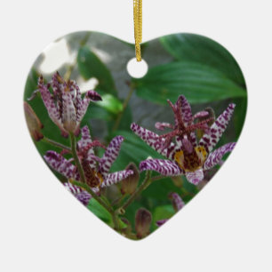 Lila rosa vit strimmig orkidé som blomkål julgransprydnad keramik