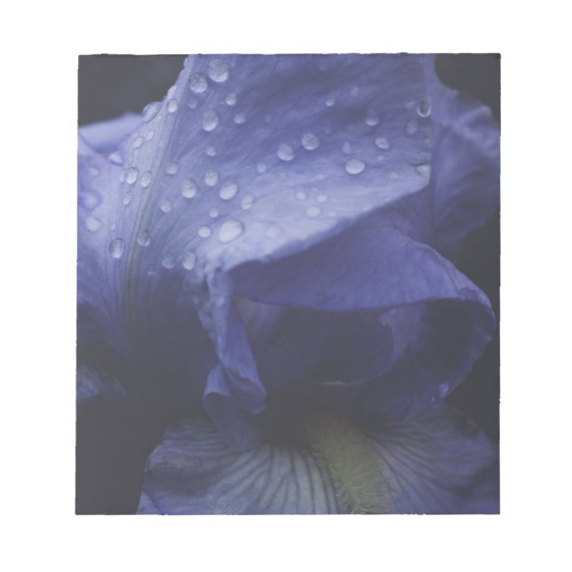 Lila rosblomma anteckningsblock (Framsida)