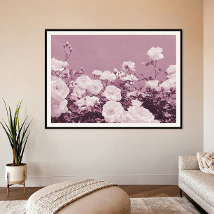 Lila Rosor Blommig Trädgård Foto Konsttryck Affisc Poster