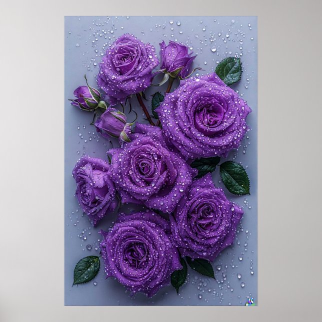 Lila rosor med vattendroppar poster (Framsidan)