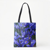 Lila Rutinmönstrade Iris Blommor