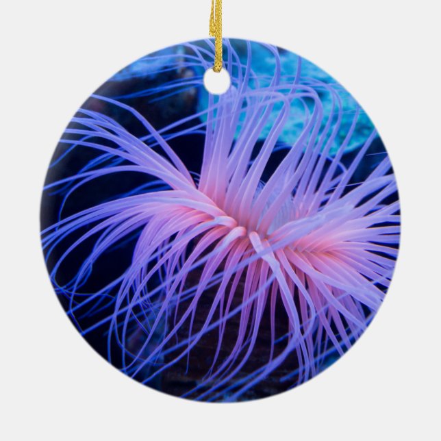 Lila Sea Anemone Marine Life Julgransprydnad Keramik (Baksidan)