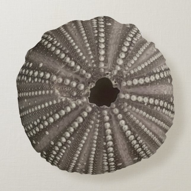 Lila Sea Urchin Dekorativ kudde (Baksidan)