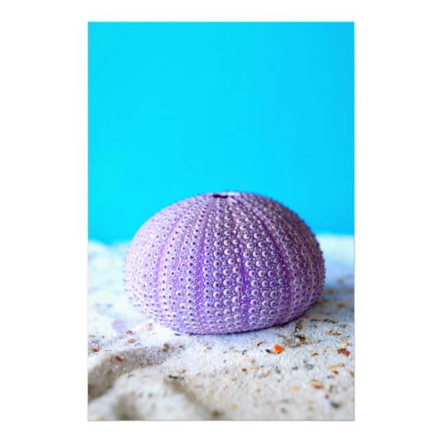 Lila Sea Urchin Fototryck (Framsidan)