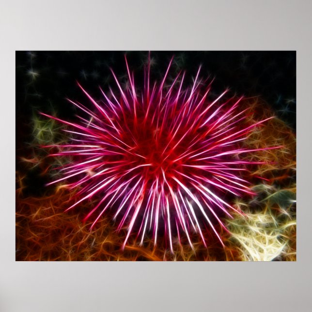 Lila Sea Urchin Poster (Framsidan)