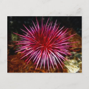 Lila Sea Urchin Vykort