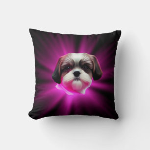 Lila Shih Tzu Kudde