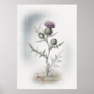 Lila skotsk tistel akvarellaffisch poster