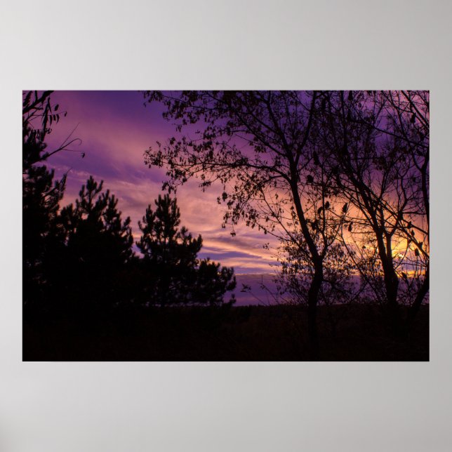 Lila Skymnings himmel Träd Siluett  Poster (Framsidan)