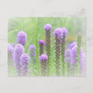 Lila Spiked Blommigt Vykort
