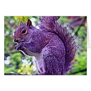 Lila Squirrel Hälsningskort