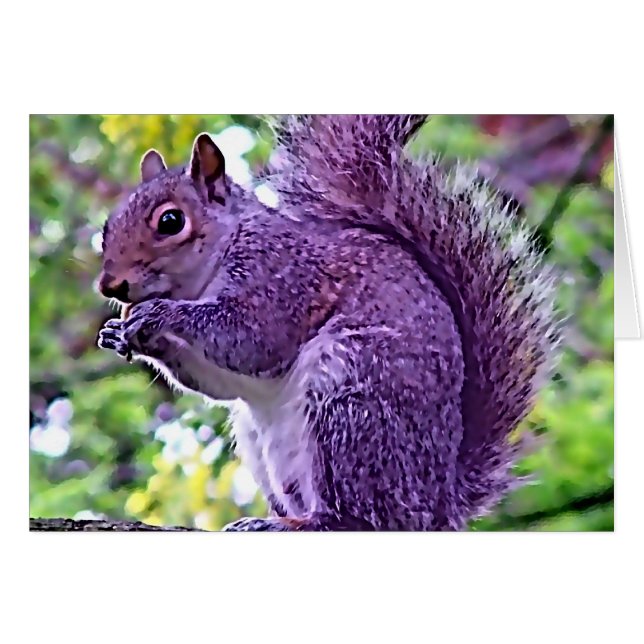 Lila Squirrel Hälsningskort (Framsidan Horizontal)