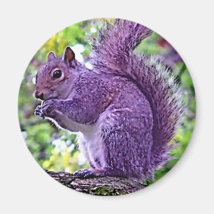 Lila Squirrel Magnet