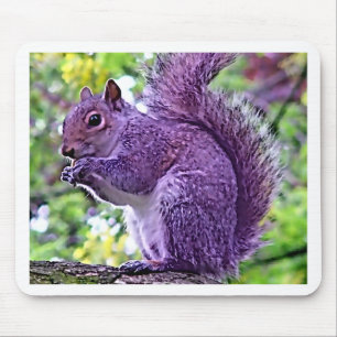 Lila Squirrel Musmatta