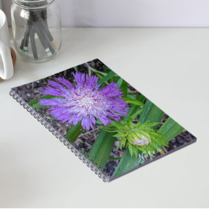 Lila Stokes Aster-Blommigt Anteckningsbok