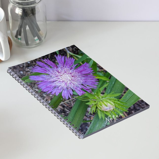 Lila Stokes Aster-Blommigt Anteckningsbok (In Situ)