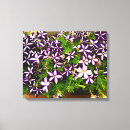 Lila Stripe Petunias Canvastryck